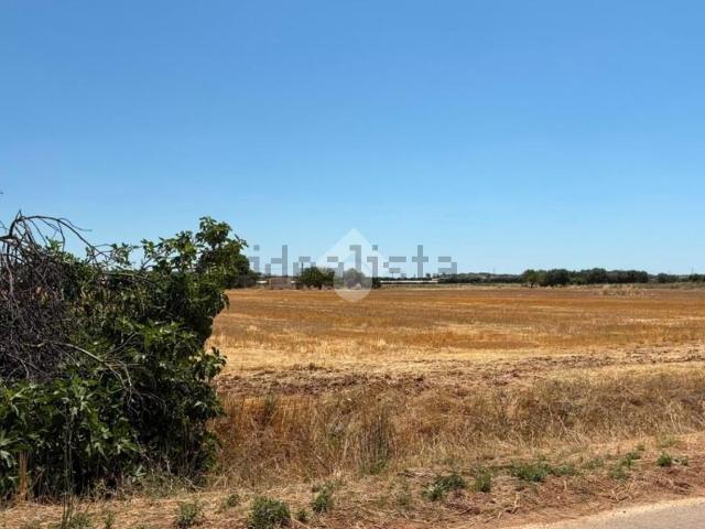 Terreno in vendita di 19602 m²