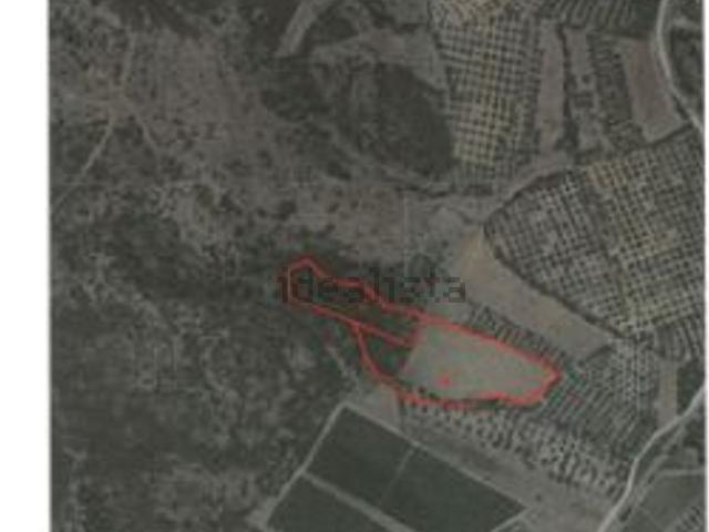 Terreno in vendita di 19695 m² in Strada di Santa Lucia