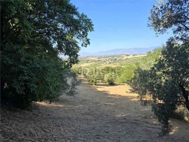 Terreno in vendita di 19743 m²