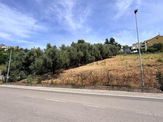 Terreno in vendita di 1981 m²