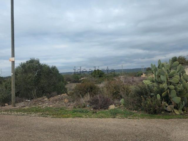 Terreno in vendita di 19842 m² in Contrada Mannara