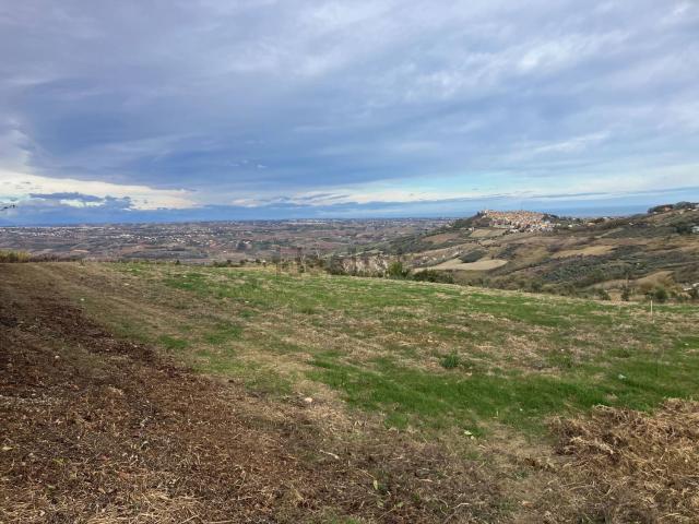 Terreno in vendita di 19000 m²