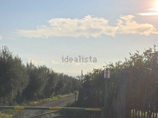 Terreno in vendita di 19000 m² in Via San Nicola, 19
