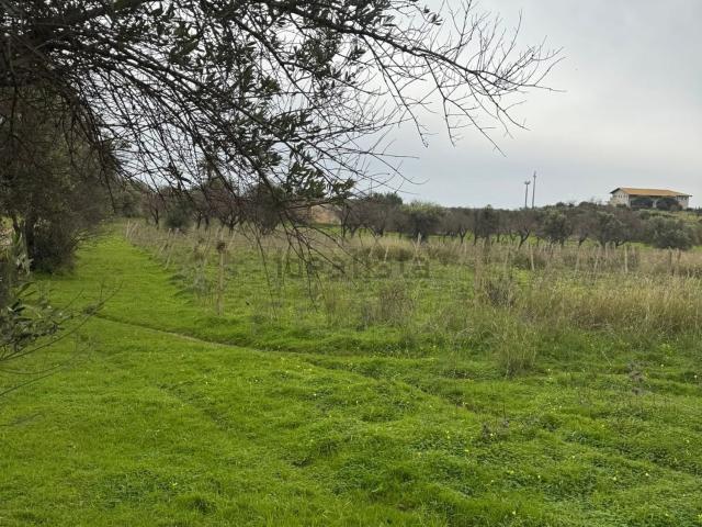 Terreno in vendita di 19000 m² in Contrada Roveto Noto