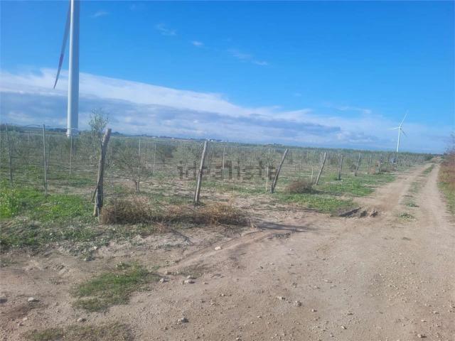 Terreno in vendita di 19000 m² in Strada Provinciale 68