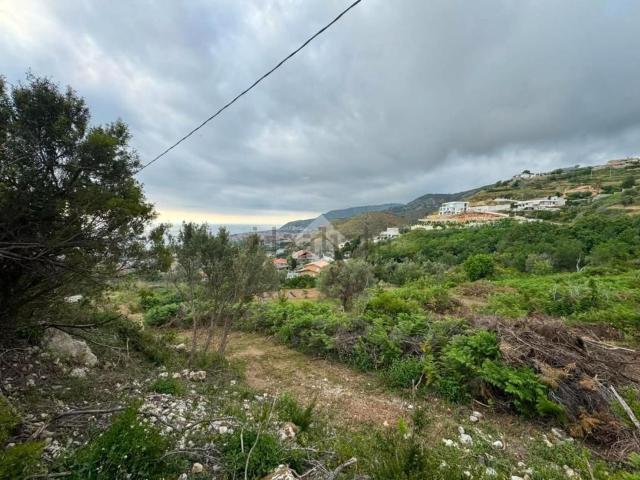 Terreno in vendita di 1910 m² in Contrada San Procopio
