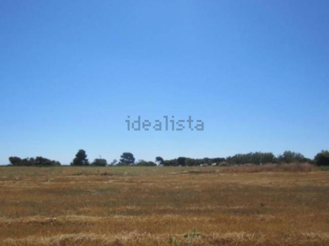 Terreno in vendita di 19170 m² in Via dei Delfini
