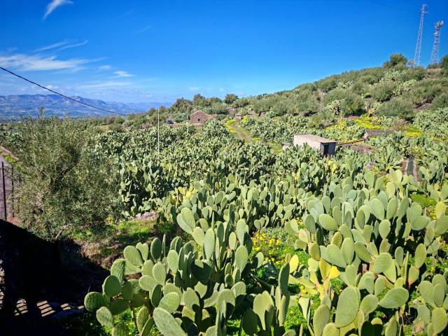 Terreno in vendita di 20529 m² in Contrada Cicero