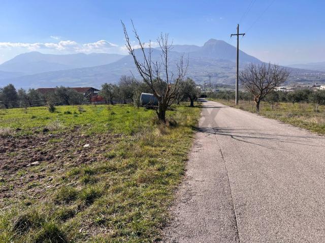 Terreno in vendita di 20551 m² in Contrada Lammia