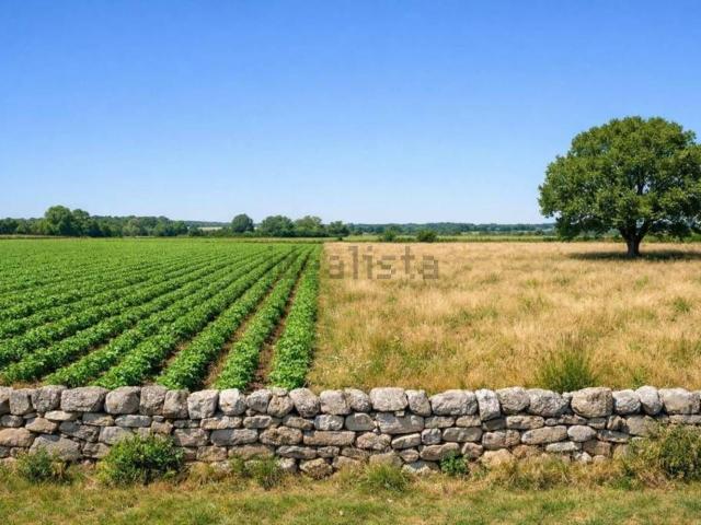 Terreno in vendita di 2077 m² in Strada Galilea