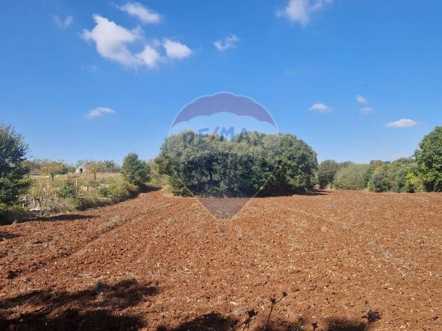 Terreno in vendita di 2083 m²