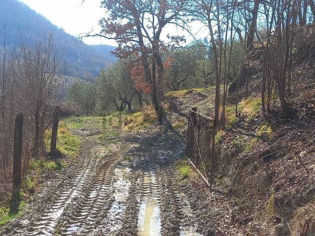 Terreno in vendita di 20820 m² in Via Rotabile