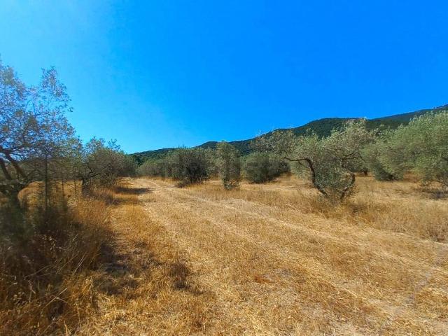 Terreno in vendita di 20847 m² in Via Minni Minni