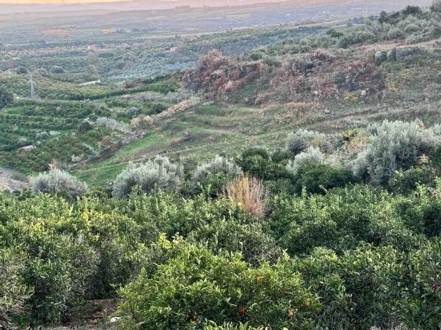 Terreno in vendita di 20857 m² in Contrada Archi Barona