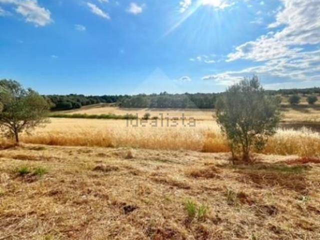 Terreno in vendita di 20900 m²