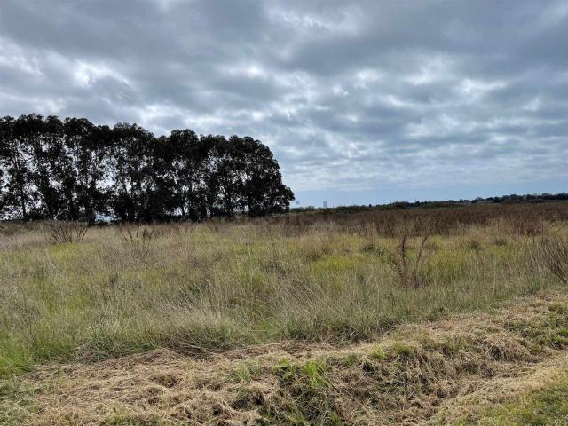 Terreno in vendita di 200000 m²