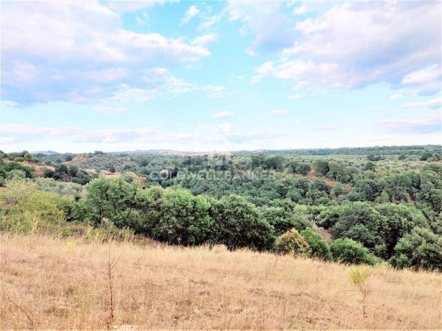 Terreno in vendita di 200000 m²