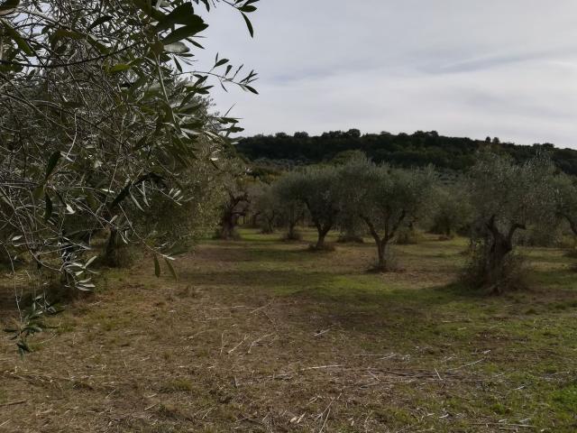 Terreno in vendita di 200000 m² in Contrada Maravinsoli