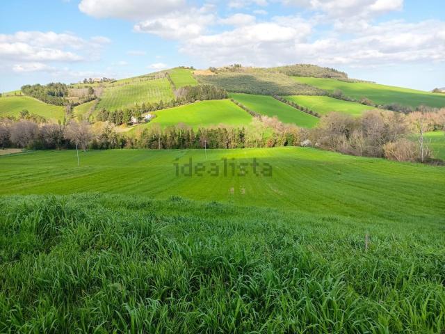 Terreno in vendita di 200000 m² in Contrada Santa Maria in Selva