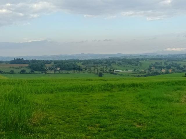 Terreno in vendita di 200000 m² in Contrada Pianciano