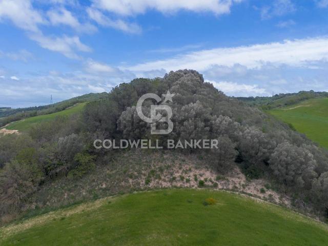 Terreno in vendita di 200000 m² in Località Montebello