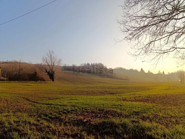 Terreno in vendita di 200000 m² in Strada delle Vigne, 38