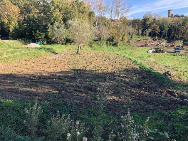Terreno in vendita di 20000 m²