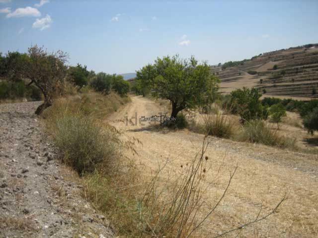 Terreno in vendita di 20000 m²