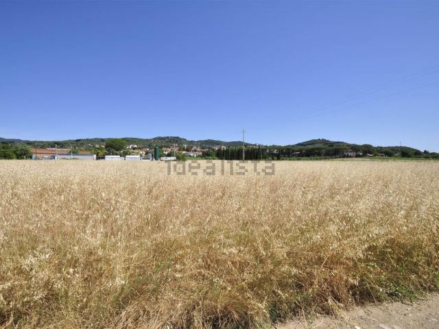 Terreno in vendita di 20000 m²