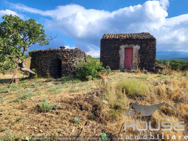 Terreno in vendita di 20000 m²