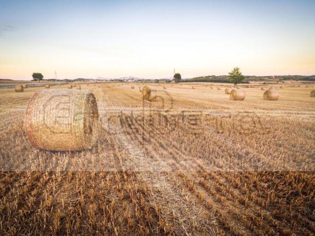 Terreno in vendita di 20000 m²
