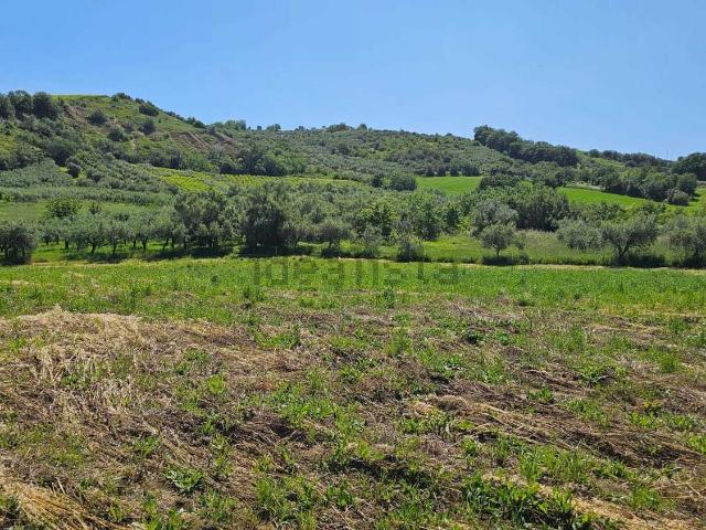Terreno in vendita di 20000 m² in Via Ciommi