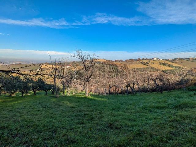 Terreno in vendita di 20000 m² in Via Brecciarola