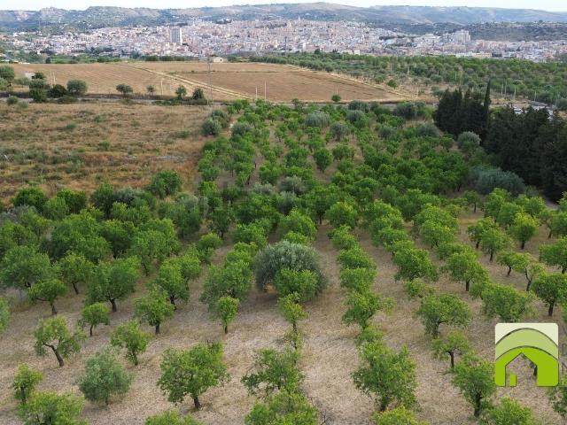 Terreno in vendita di 20000 m² in Via Gioi