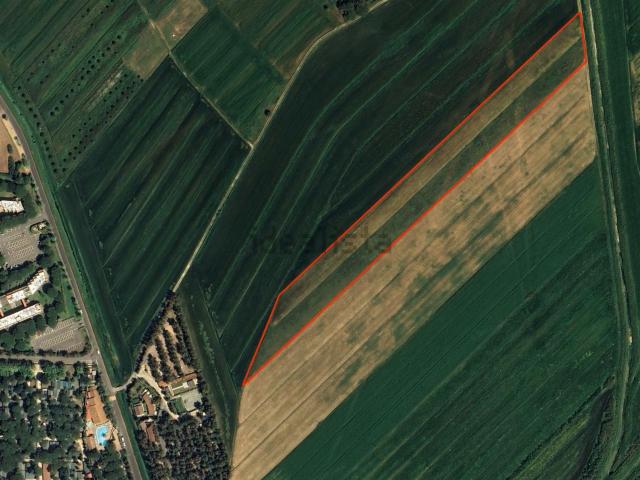 Terreno in vendita di 20000 m² in Via dei Platani, 56