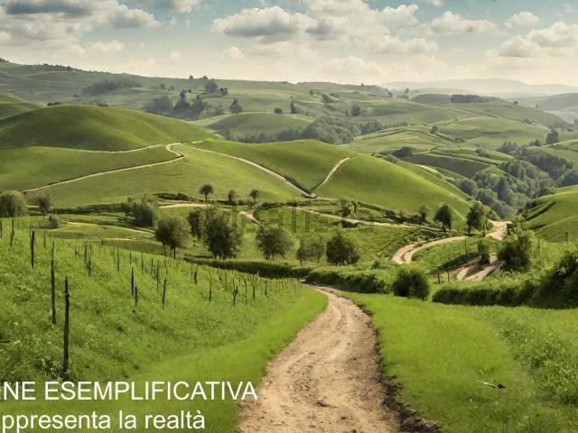 Terreno in vendita di 20000 m² in Via Montefrancio, 46