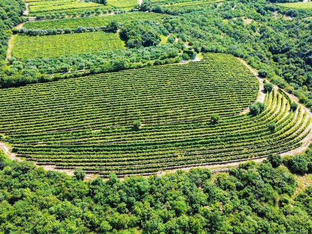 Terreno in vendita di 20000 m² in Via vesan