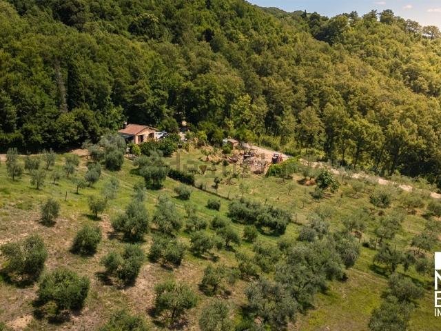 Terreno in vendita di 20000 m² in Viale Luigi Fatti