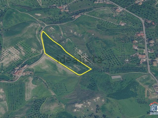 Terreno in vendita di 20000 m² in Contrada Favaco