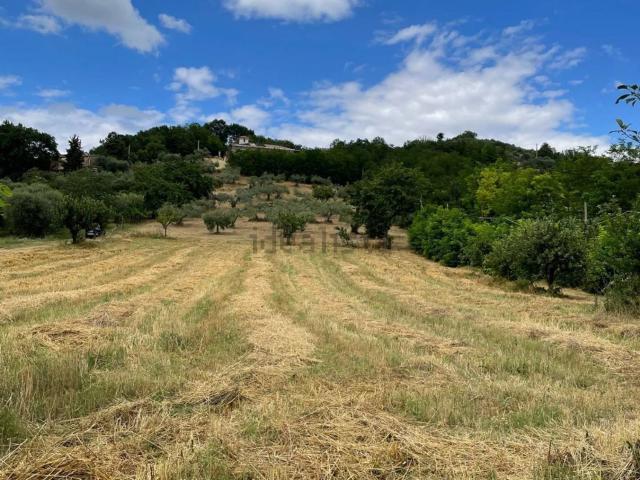 Terreno in vendita di 20000 m² in Contrada San Tommaso