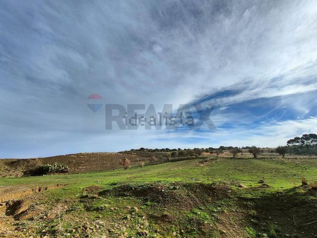 Terreno in vendita di 20000 m² in Contrada Salinella