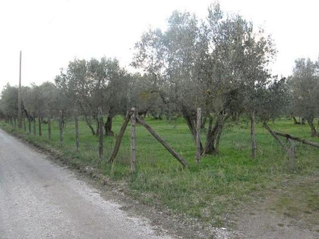 Terreno in vendita di 20000 m² in Località Dogane