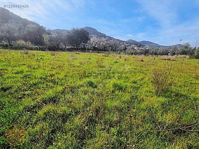 Terreno in vendita di 20000 m² in Località san pietro