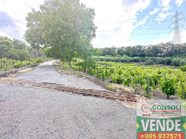 Terreno in vendita di 20000 m² in Strada Provinciale 59iv