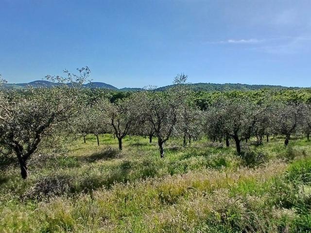 Terreno in vendita di 20001 m²