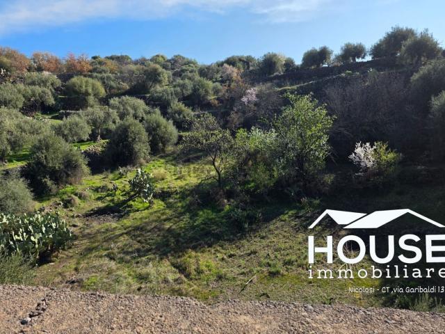 Terreno in vendita di 2000 m² in Strada Mancuse Soprana, 1