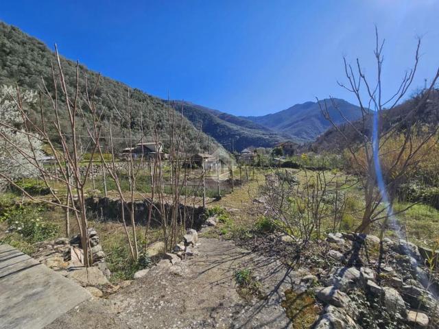 Terreno in vendita di 2000 m²