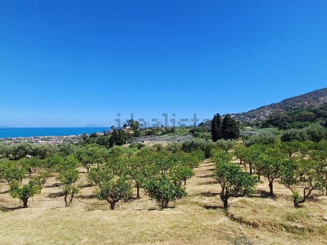 Terreno in vendita di 2000 m² in Strada Provinciale 150