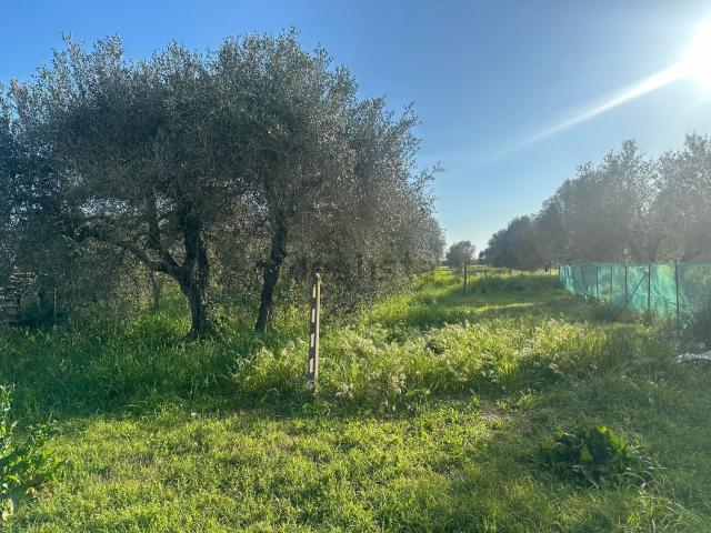 Terreno in vendita di 2000 m² in Strada Rugginosa Vecchia