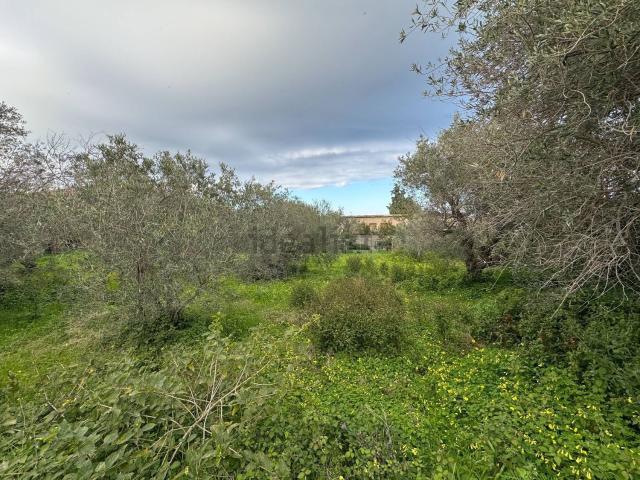 Terreno in vendita di 2000 m² in Strada Statale Spartà